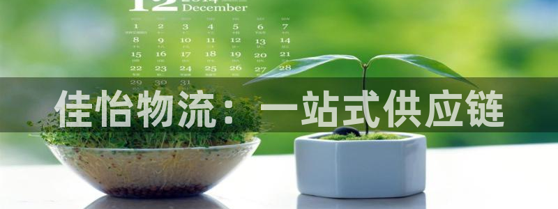 28圈大神预测:佳怡物流:一站式供应