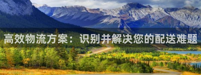 28圈下载体育：高效物流方案：识别并