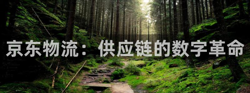 28圈注册登录链接：京东物流：供应链