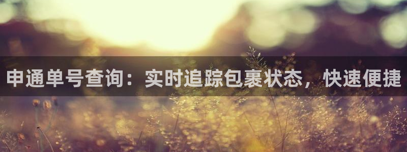 28圈app能退款吗：申通单号查询：