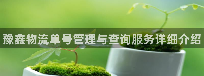 28圈反水什么时候到：豫鑫物流单号管