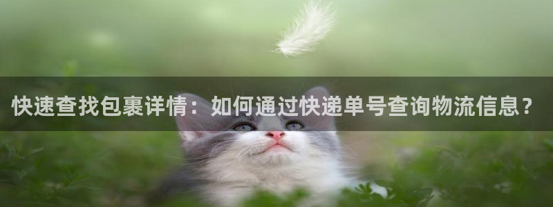 28圈登录用户名登录不上：快速查找包