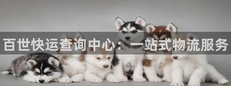 28圈是正规平台吗