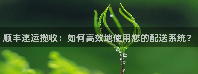 28圈推广链接是多少个