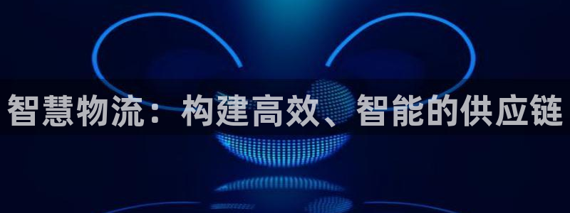 28圈注册网页版：智慧物流：构建高效