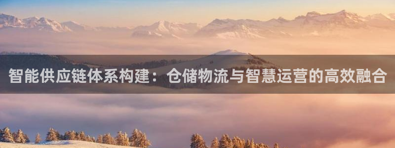 28圈注册网站链接是什么:智能供应链