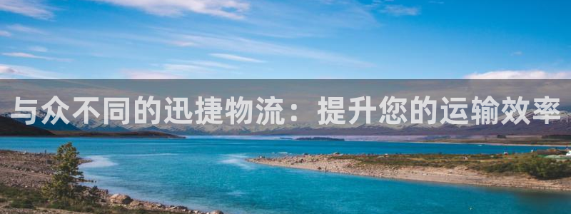 28圈链接：与众不同的迅捷物流：提升