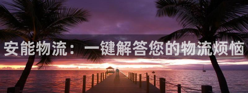 28圈取保：安能物流：一键解答您的物