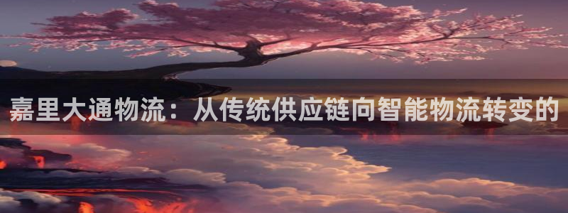 28圈连接：嘉里大通物流：从传统供应