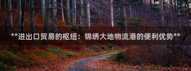 28圈相信品牌的力量：**进出口贸易