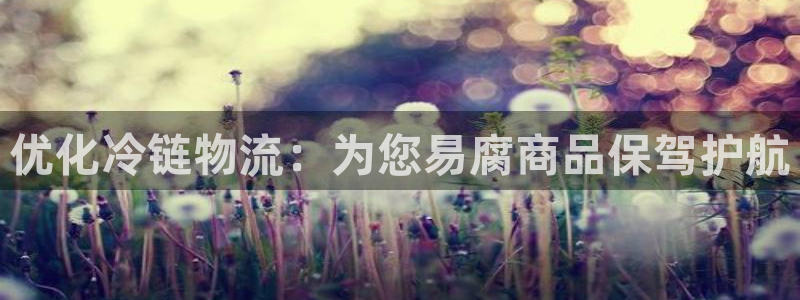 28圈pg麻将胡了：优化冷链物流：为