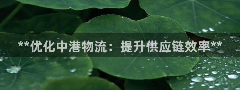 28圈.ccm2024：**优化中港