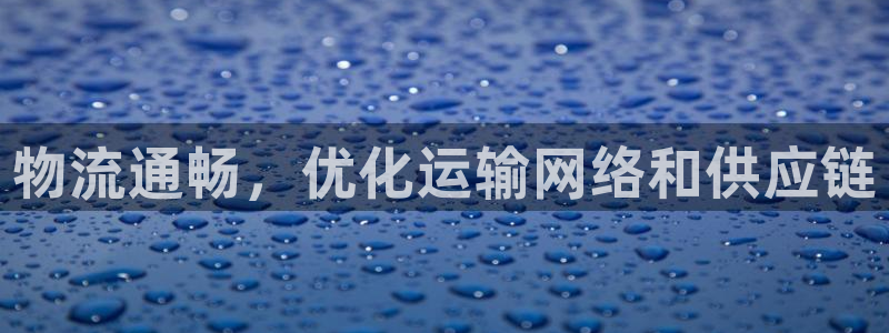 28圈登录不上咋回事：物流通畅，优化