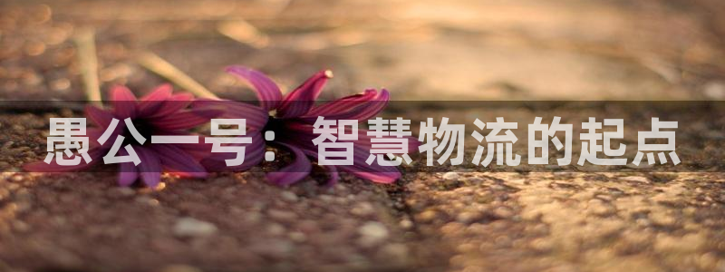 28圈技巧：愚公一号：智慧物流的起点