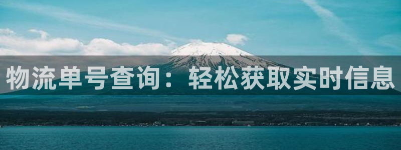 28圈赌博软件正规吗：物流单号查询：轻松获取实时信息