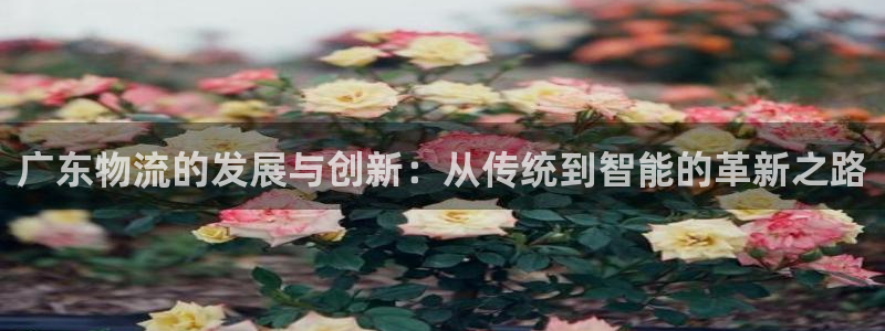 28圈如何看012路计划：广东物流的