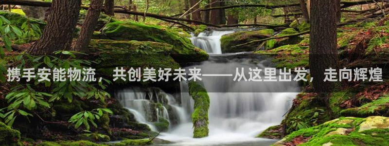 28圈官方：携手安能物流，共创美好未