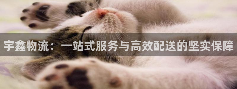 28圈注册问一问